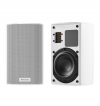 Piega Ace 30 Wireless RX