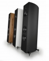 Acoustic Energy АЕ Corinium